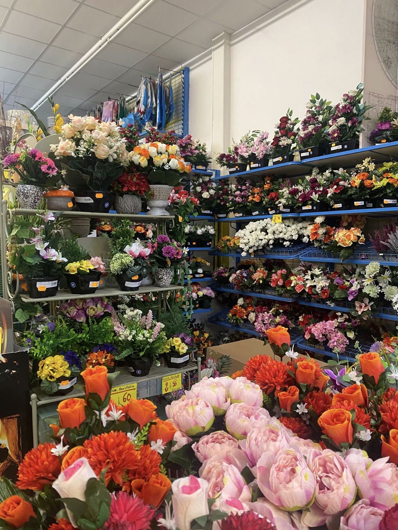 Rayon fleurs